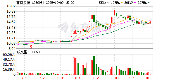 森特股份：无逾期担保