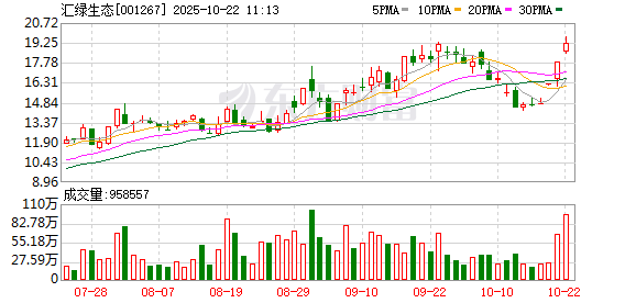 汇绿生态连收3个涨停板