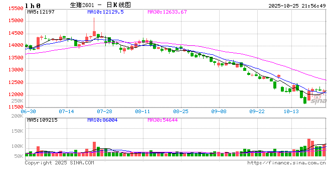 价格周报|本周猪价反弹,气温普降刺激需求小幅回暖